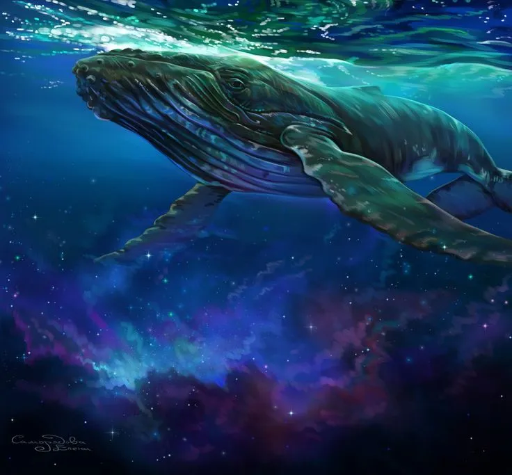 sept 22 baleine espaces