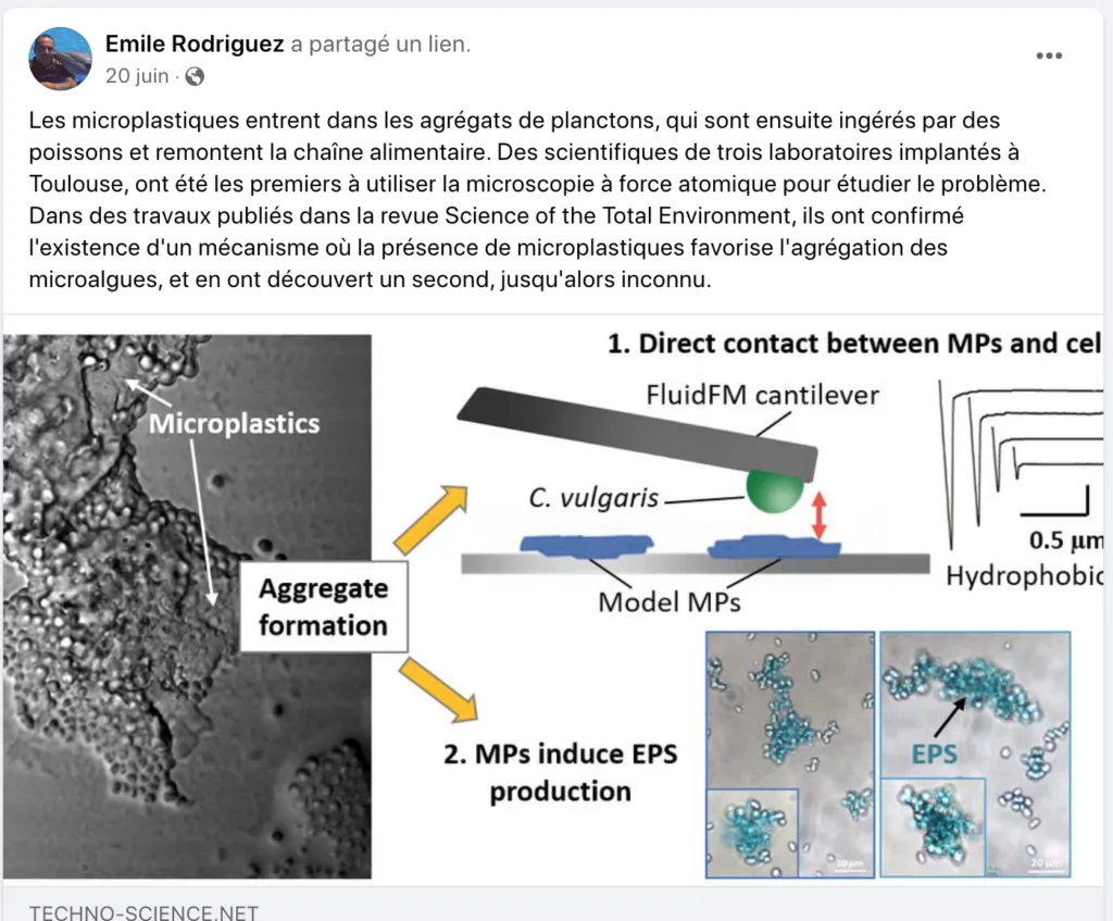 Les-microplastiques-entrent-dans-les-agrégats-de-planctons Les-microplastiques-entrent-dans-les-agrégats-de-planctons